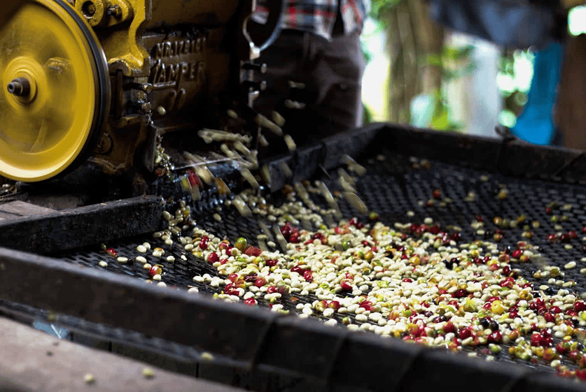 Packing Coffee